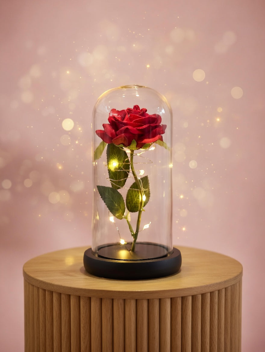 Czerwona róża pod kloszem