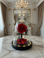 Wieczna róża pod kloszem w szkle z podświetleniem led
