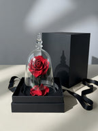 Prawdziwa wieczna róża pod kloszem XL w opakowaniu prezentowym