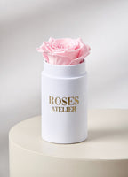 edna różowa wieczna róża w małym różowym pudełku – subtelny upominek