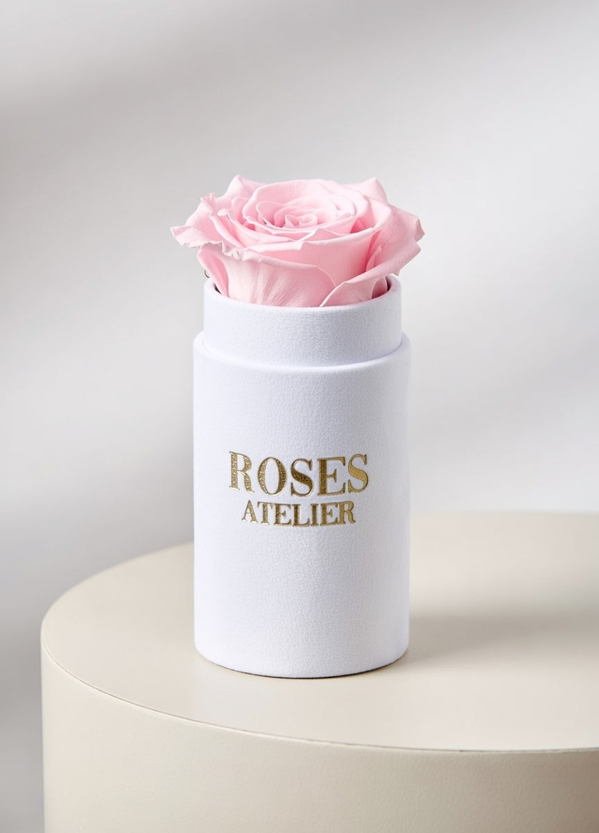 edna różowa wieczna róża w małym różowym pudełku – subtelny upominek
