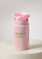 Wieczna róża różowa w różowym flower boxie