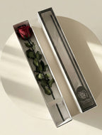 Wieczna róża z łodygą ciemnoczerwona - Prawdziwa róża stabilizowana