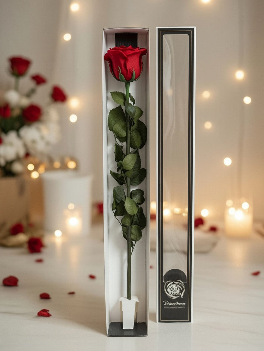Wieczna róża z łodygą - Prawdziwa róża stabilizowana czerwona - 60cm