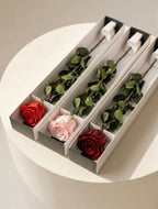 Wieczna róża z łodygą czerwona - Prawdziwa róża stabilizowana