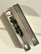 Wieczna róża z łodygą różowa - Prawdziwa róża stabilizowana