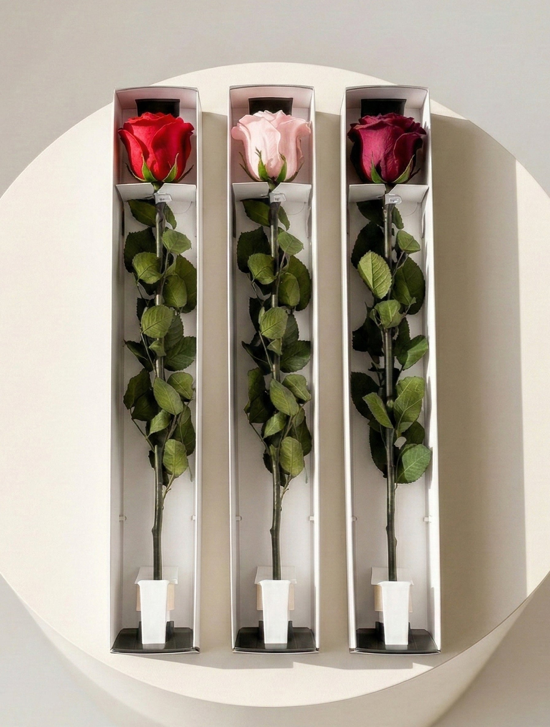 Prawdziwa wieczna róża z łodygą - czerwona - XL 60cm