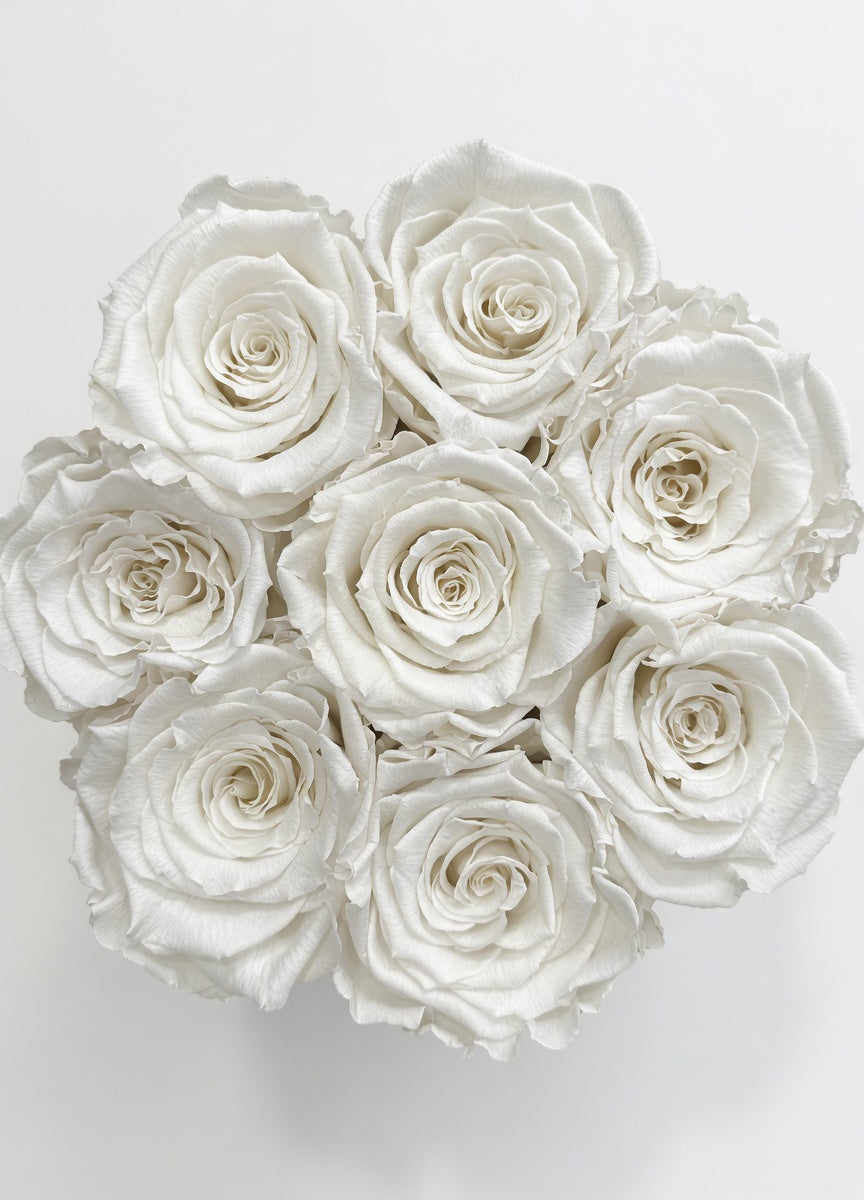 Białe Wieczne Róże - Flower Box Kremowy Średni