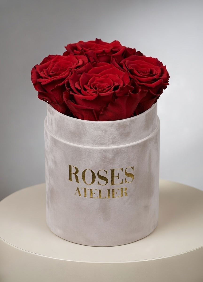 Wieczne róże bordowe w beżowym flower boxie