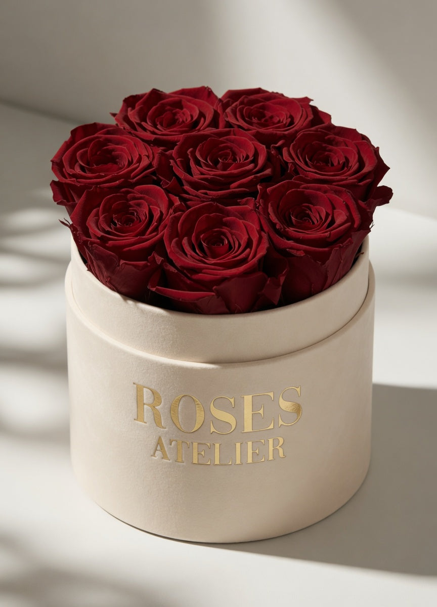 bordowe wieczne róże - flower box sredni ecru