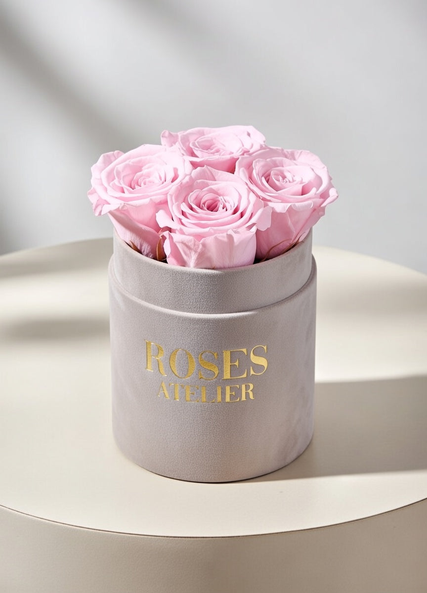 Różowe wieczne róże w beżowym flower boxie