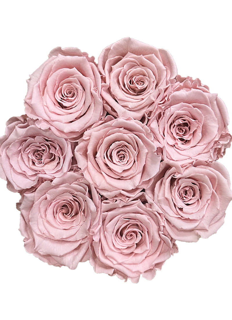 Różowe wieczne róże w okragłym  flower boxie