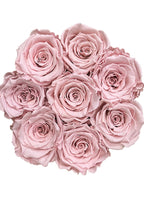 Różowe wieczne róże w okragłym  flower boxie