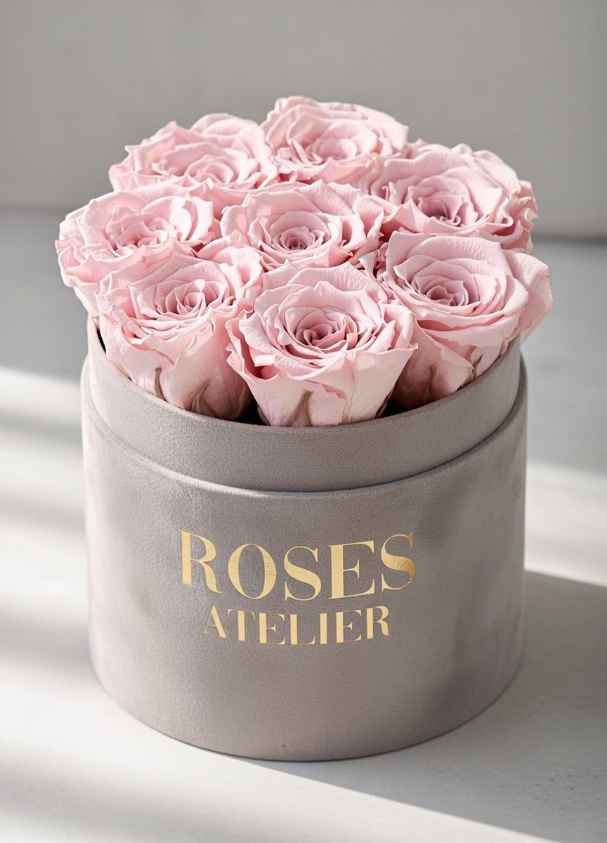 Różowe wieczne róże w średnim beżowym flower boxie