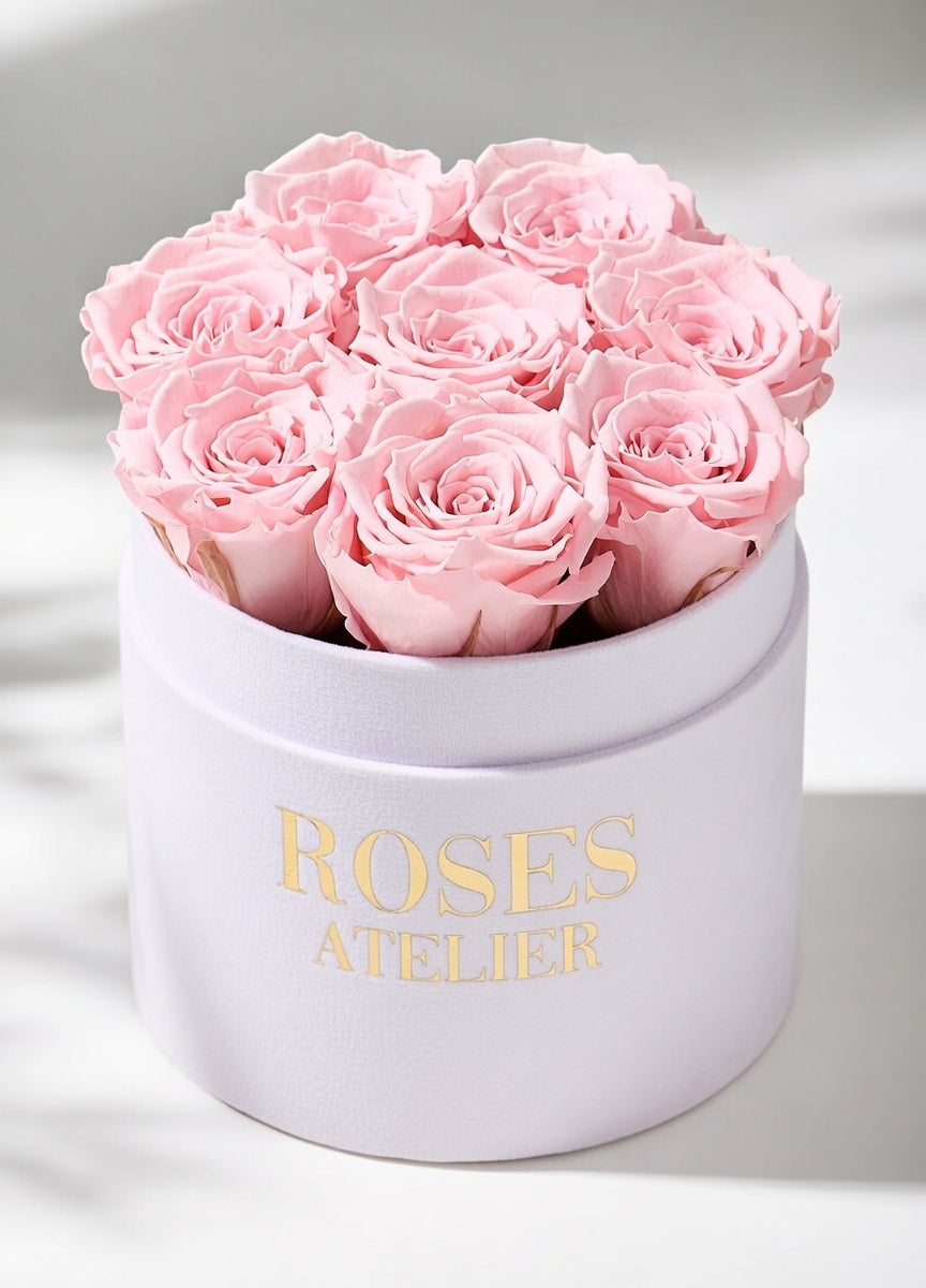 Różowe wieczne róże w średnim białym flower boxie