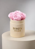 Mały piaskowy flower box z różowymi wiecznymi różami